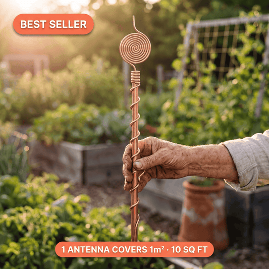 Lindalia Copper Antenna