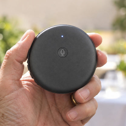 Lindalia AI Voice Translator