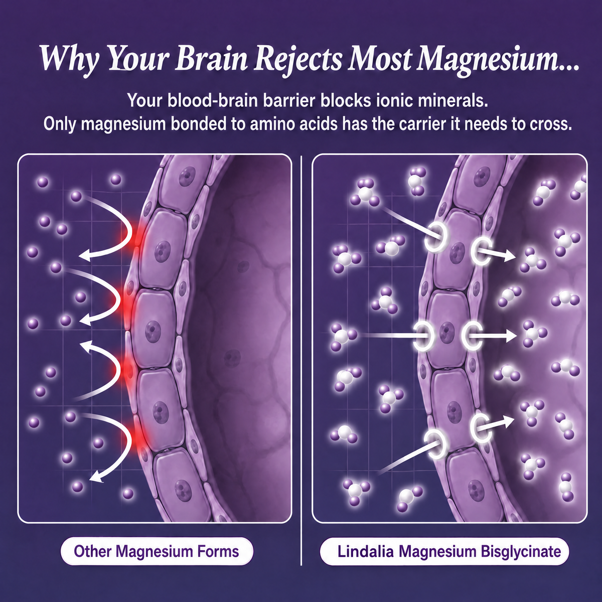 Lindalia Magnesium Bisglycinate Gummies